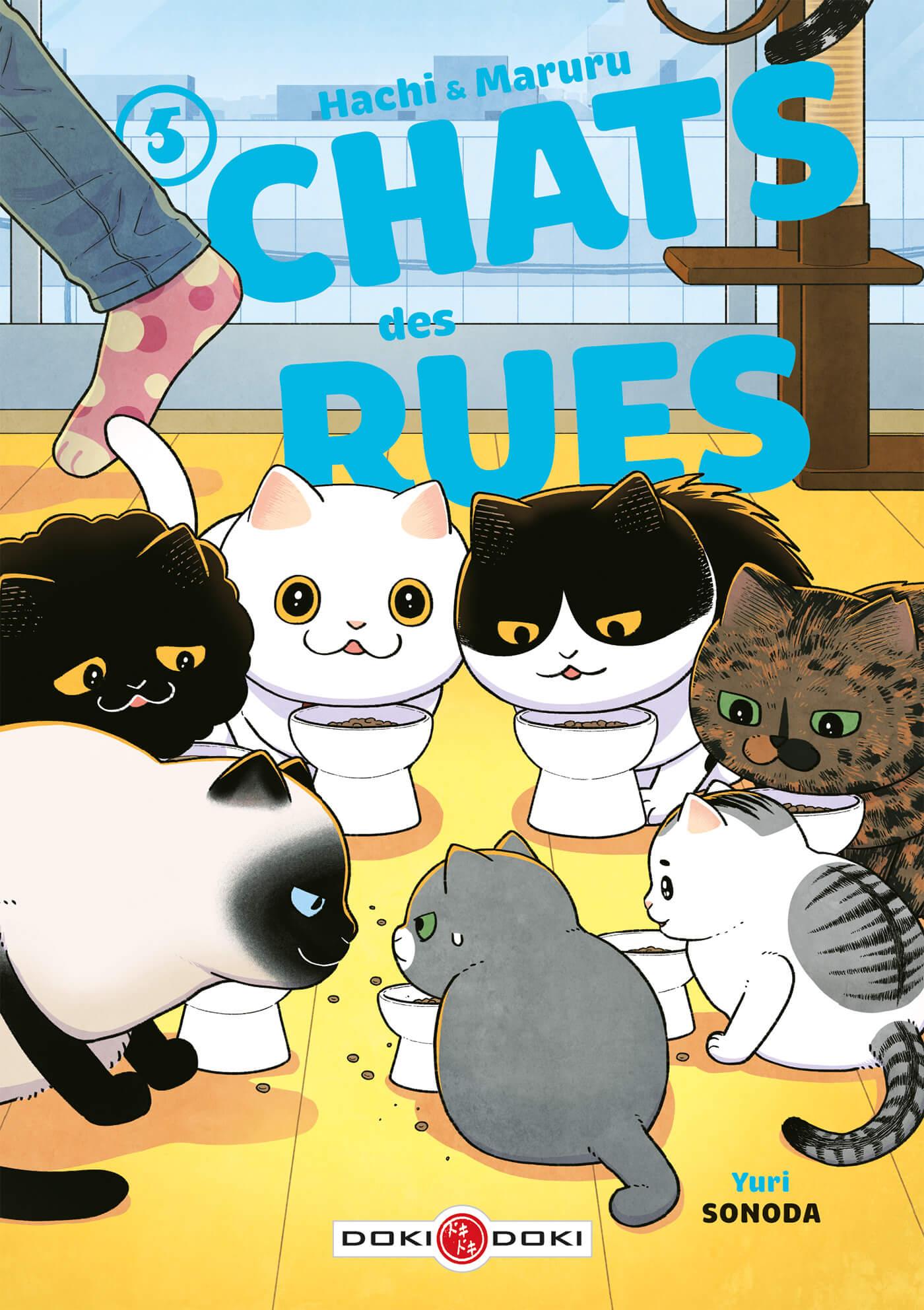 HACHI & MARURU : CHATS DES RUES T5